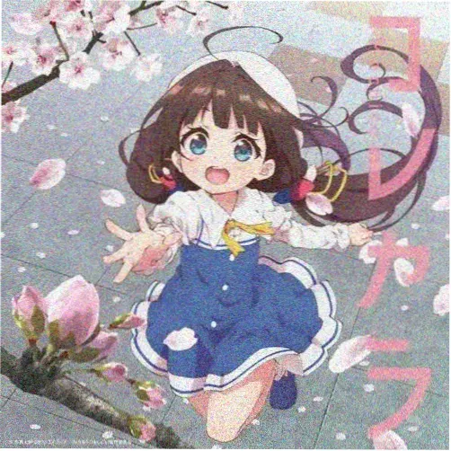 腐向收藏家