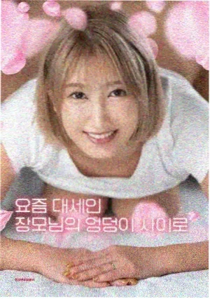 春光乍泄